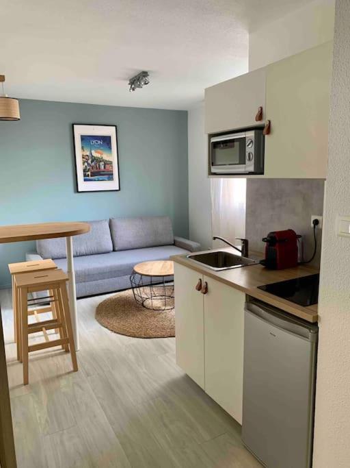 Studio Le Pensier - Monplaisir Lyon Zewnętrze zdjęcie