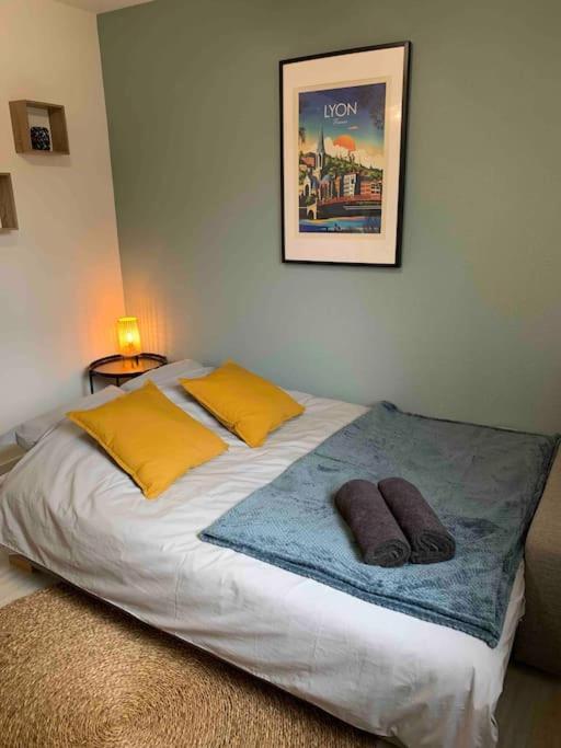 Studio Le Pensier - Monplaisir Lyon Zewnętrze zdjęcie